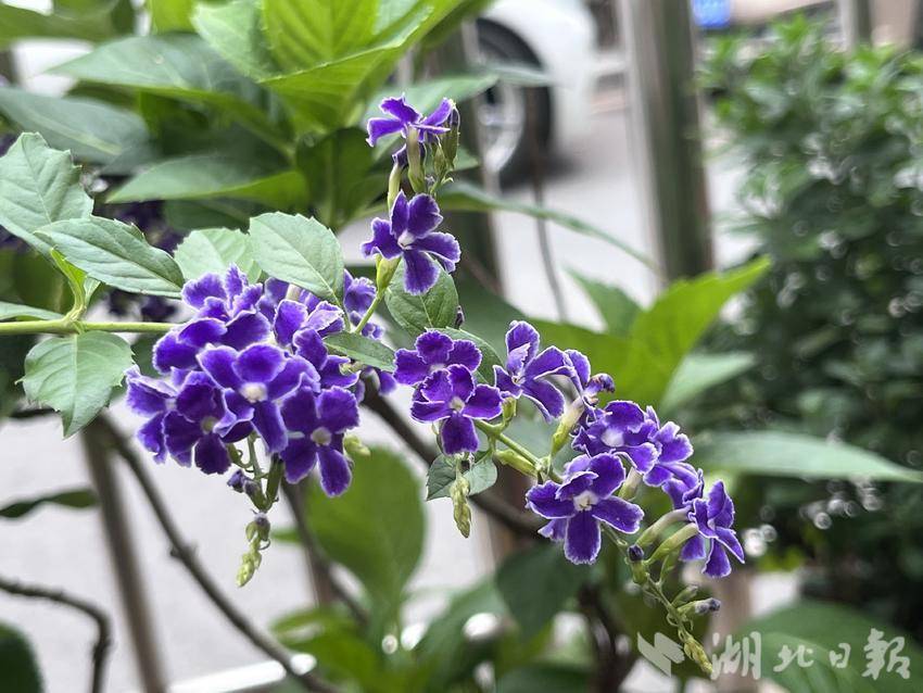 威尼斯首存28送38彩金